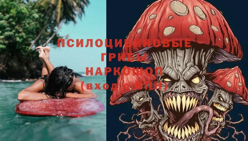 Псилоцибиновые грибы Magic Shrooms  Армавир 